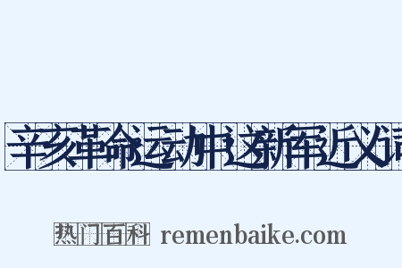 辛亥革命运动中这新军近义词是什么意思的图片